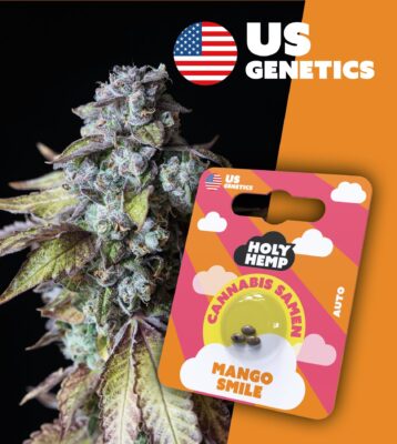 Mango Smile Cali Seeds - Holy Hemp