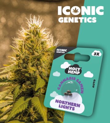 Northern Lights Iconic Seeds - Holy Hemp