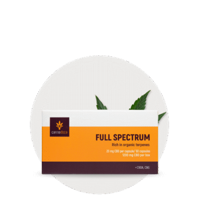 Premium CBD Kapseln mit CBDA 1200 mg Vollspektrum - Cannadoca