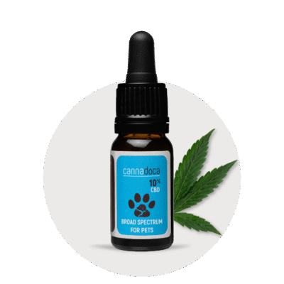Premium CBD Öl Hund 10% - Cannadoca