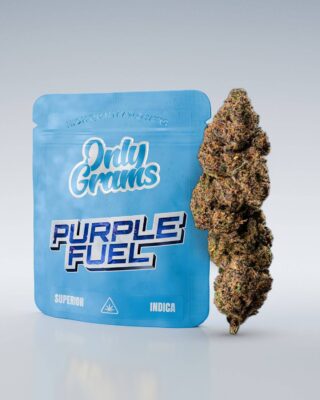 Purple Fuel Superior Blüte 40% - Only Grams