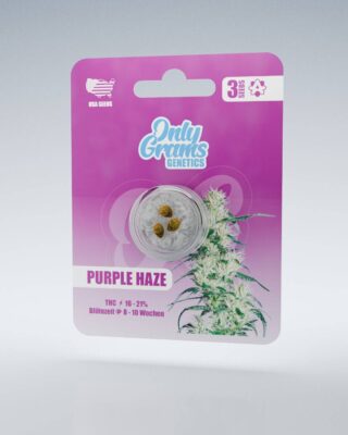 Purple Haze THC-Seeds - Only Grams
