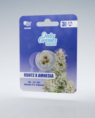 Runtz x Amnesia THC-Seeds - Only Grams