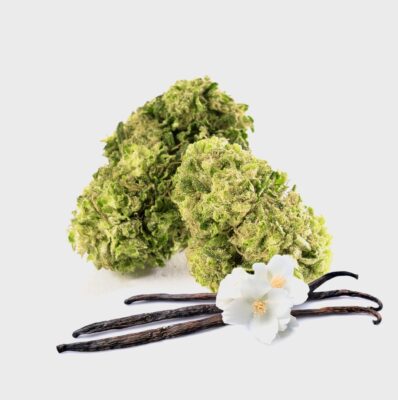 Vanilla Chill Zone 12% CBG - Happy420