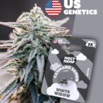 White Widow Cali Seeds