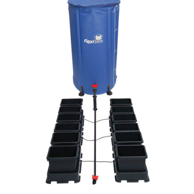 AP easy2grow 12 - Bushdoctor