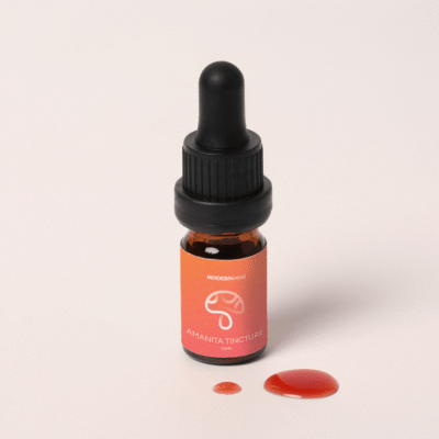 Fliegenpilz Microdosing Tinktur - MODERNmind