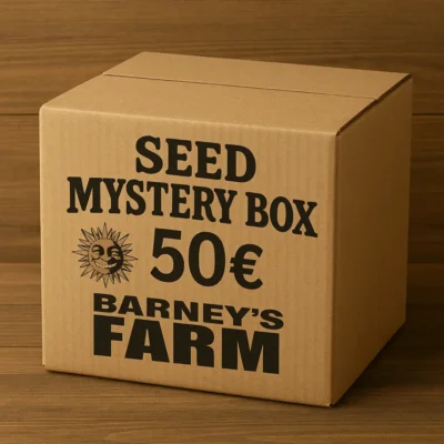 Mystery Box Barneys Farm 50 Euro - Hanfjack