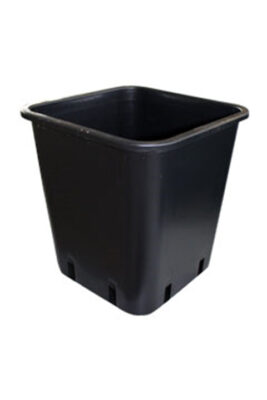 Pflanzentopf - Bushdoctor