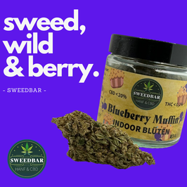 Sweedbar Blueberry Muffin CBD Blüten 5g - Hanfjack